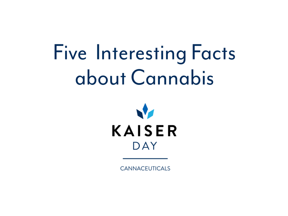 5 interesting facts about cannabis